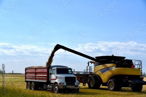 A combine is seen loading a grain truck in a wheat field