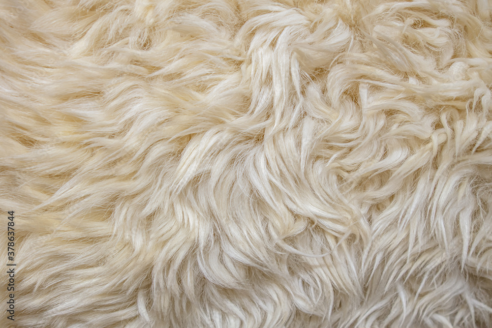 abstract background of an elegant warm white fur close up abstract background of an elegant warm white fur close up