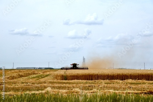 A swather is seen cutting wheat © Murray