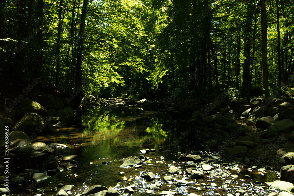 river in the woods river in the woods
