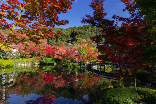 Beautiful multi colored garden in Kyoto (Japan)