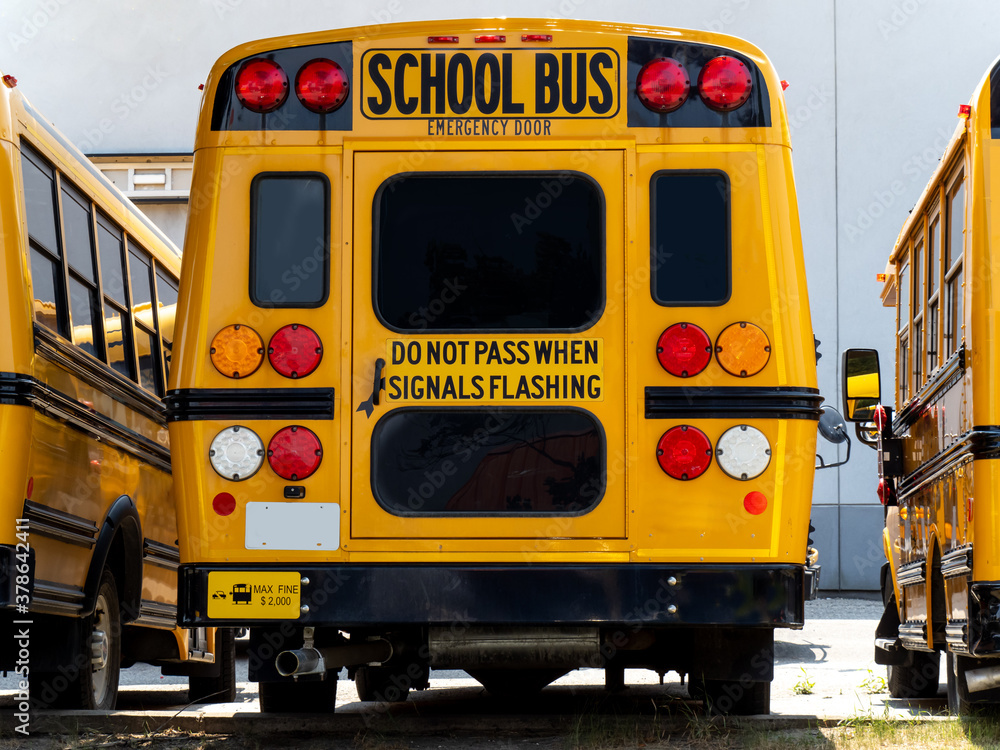 a small yellow school bus in a row of busses