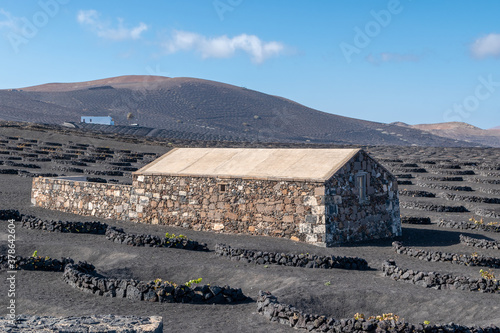 Принти на полотні Image of old house in the vineyard area on the volcanic island of Lanzarote, Can