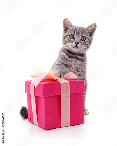 Kitten and gift. © voren1