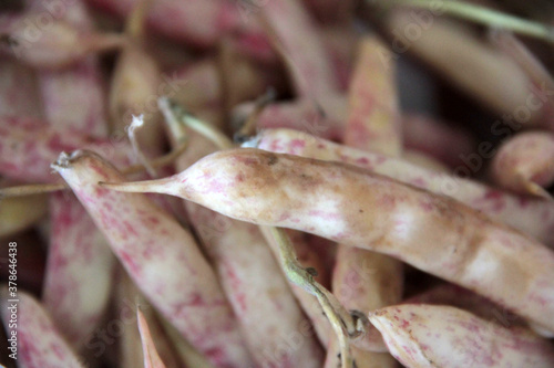 fresh and organic vitamin vegetables