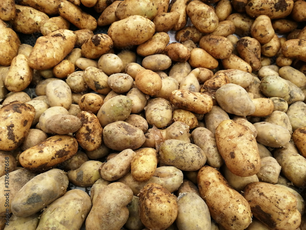 fresh and organic vitamin vegetables fresh and organic vitamin vegetables