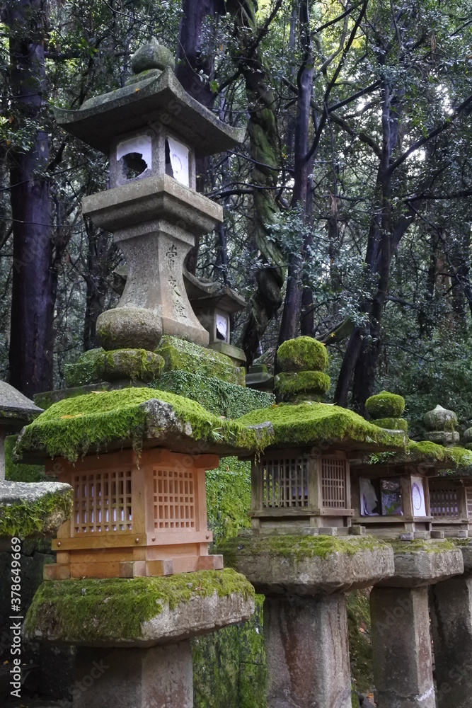 japanese garden japanese garden