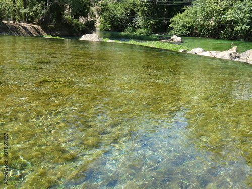The purity of the transparent water of the Sorgue river at Fontaine de Vaucluse in Provence allows us to be able to admire the green aquatic plants that cover the bottom of the river