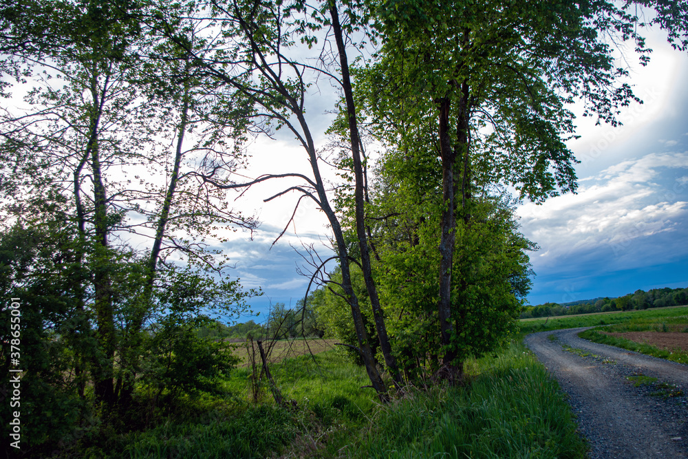 Obraz premium Landschaft