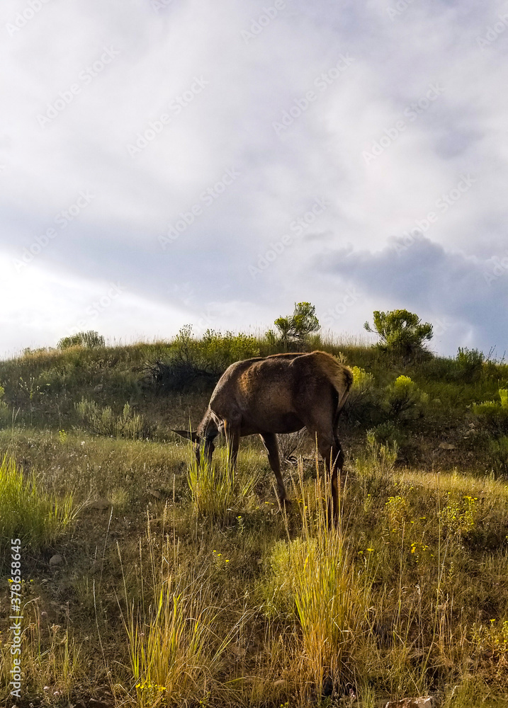 Amaizing natural national parks in US