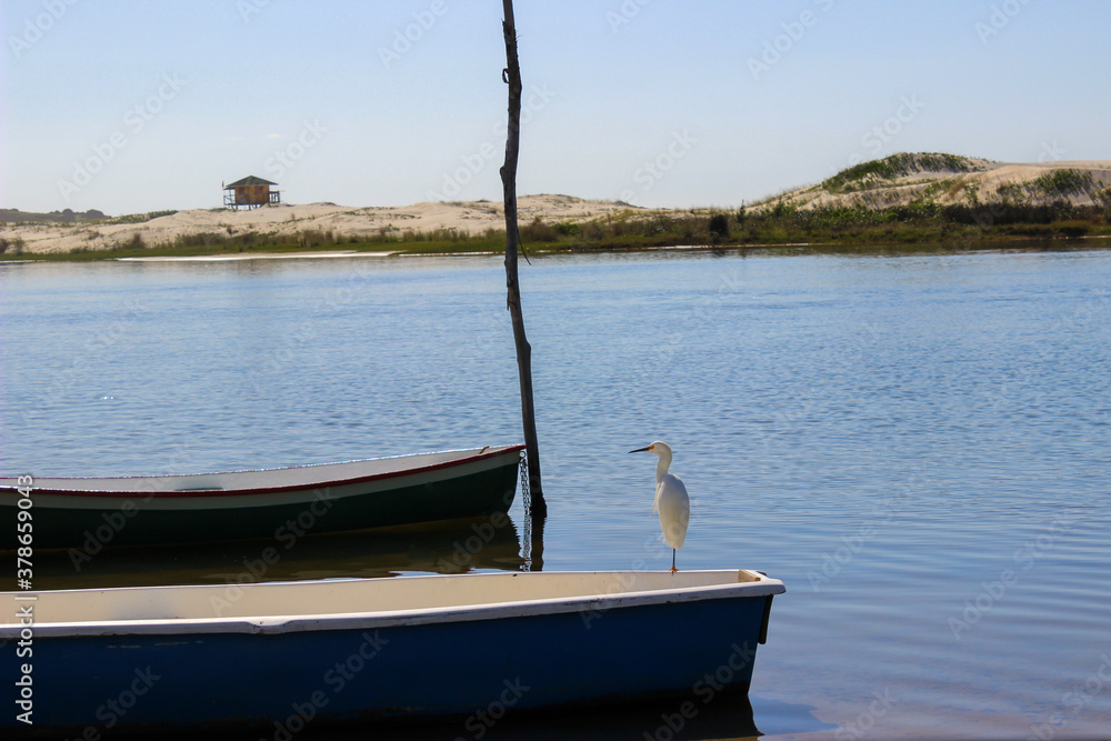 White beautiful bird on a blue boat over the blue river at the Brazilian beach. Guarda do Embau, Santa Catarina