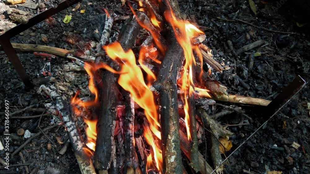 Shooting a fire in the forest. Shooting a fire in the forest.