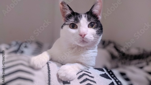 Zoe