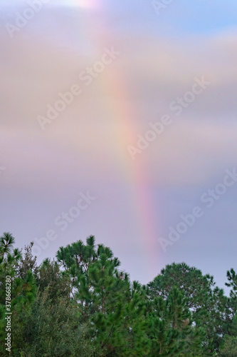 Beautiful double rainbow in summer 