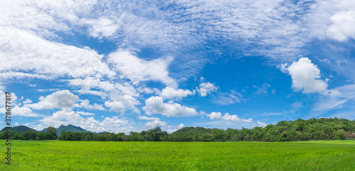 Panoramic landscape view of green grass field agent blue sky