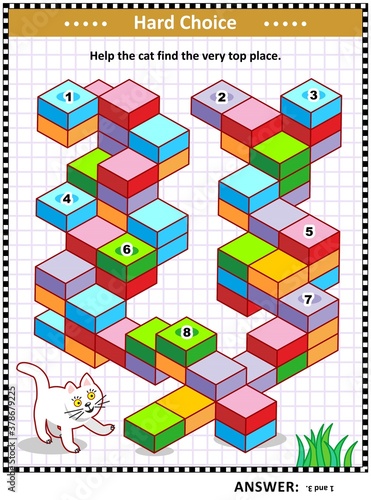 Visual puzzle or picture riddle with cat and building blocks staircase: Help the cat find the very top place. Answer included.
