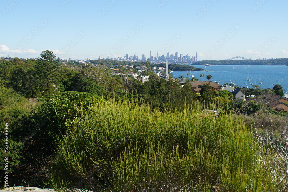 Panoramic View of Sydney’s Skyline across Bushland and Sydney Harbour