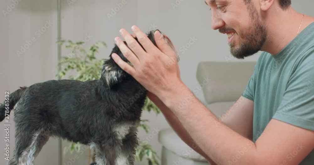 Man with beard and mustashes touches the yorkshire terrier head with his forehead, tilts head back and pets it. White wall an green leaves in background. Man with beard and mustashes touches the yorkshire terrier head with his forehead, tilts head back and pets it. White wall an green leaves in background.