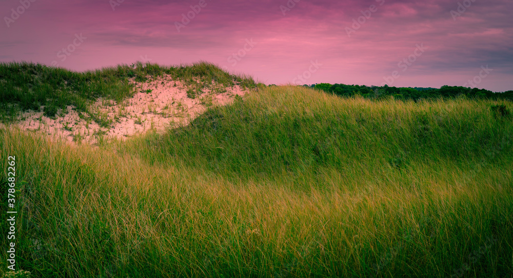 Panoramic sand dune and rolling hill wilderness landscape with growing green grass and erosion at cloudy pink twilight on Cape Cod