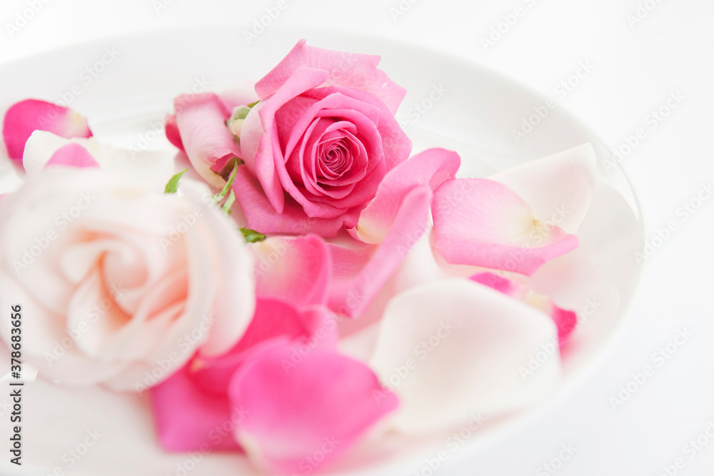 roses and petals on plate roses and petals on plate