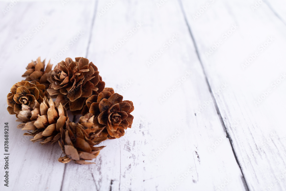 まつぼっくり 秋 木 自然 クリスマス デコレーション 飾り 季節 森 松 黄色 白 Stock 写真 Adobe Stock