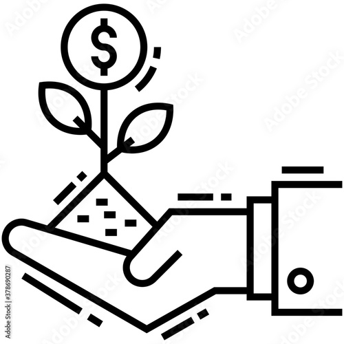 Dollar Plant