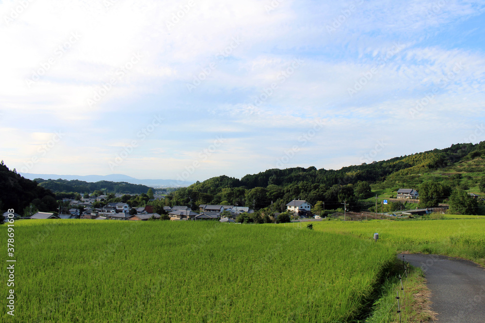Countryside and paddy field in Asuka, Nara