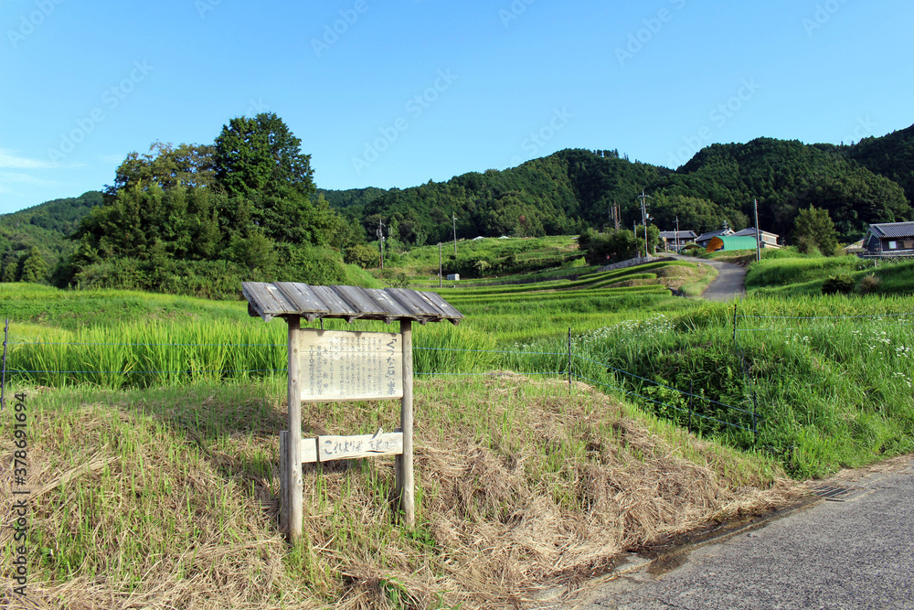 Road entrance sign, sculpture, and paddy field in Asuka, Nara. Road entrance sign, sculpture, and paddy field in Asuka, Nara.