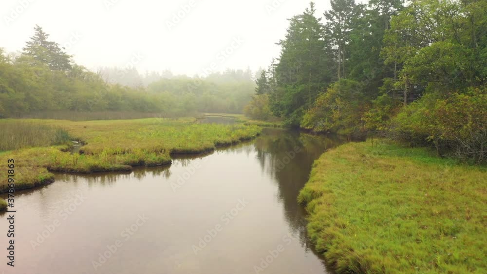 Beautiful Wetland Slough on Lummi Island, Washington. Drone view of an important environmental landscape on a foggy morning in the San Juan islands archipelago of the Pacific Northwest. Beautiful Wetland Slough on Lummi Island, Washington. Drone view of an important environmental landscape on a foggy morning in the San Juan islands archipelago of the Pacific Northwest.