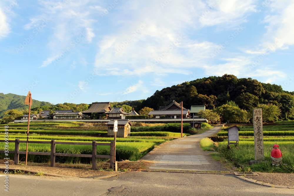 Paddy field and traditional house in a village of Asuka