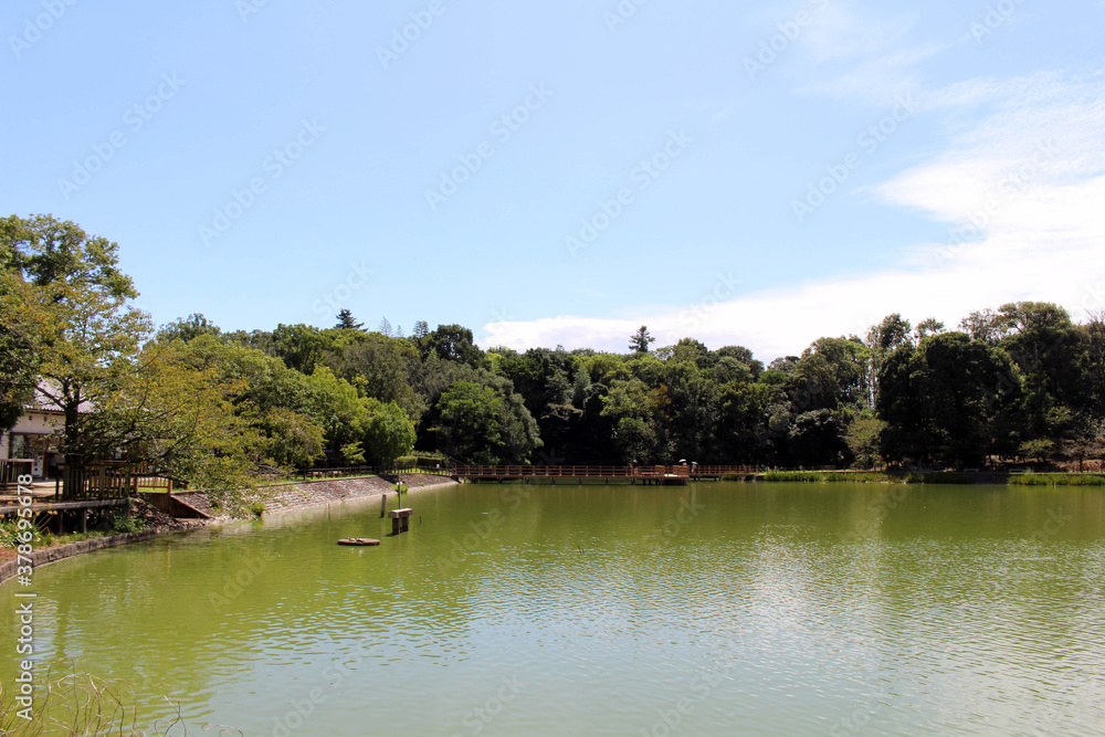 The lake around Kashihara Jingu Temple in Nara