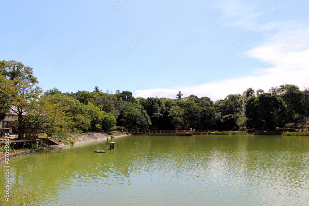 Obraz premium The lake around Kashihara Jingu Temple in Nara