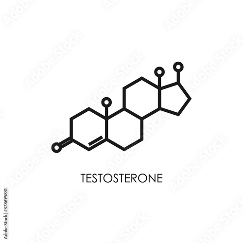 Testosterone molecula structure. colorful line icon isolated on white background.