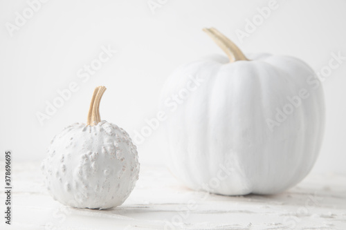 halloween background of white painted pumpkin on white background