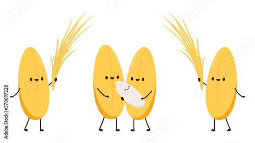 Rice character design. rice vector on white background. rice seed.
