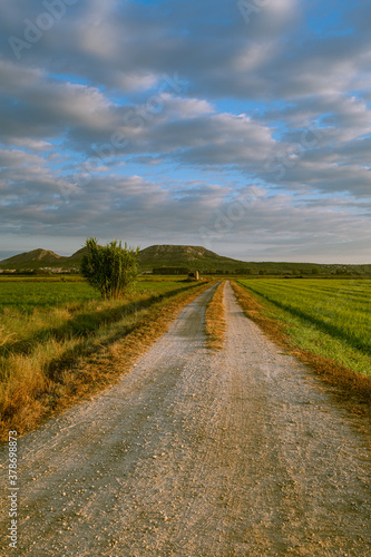 Rural gravel road pathway on a green plain landscape