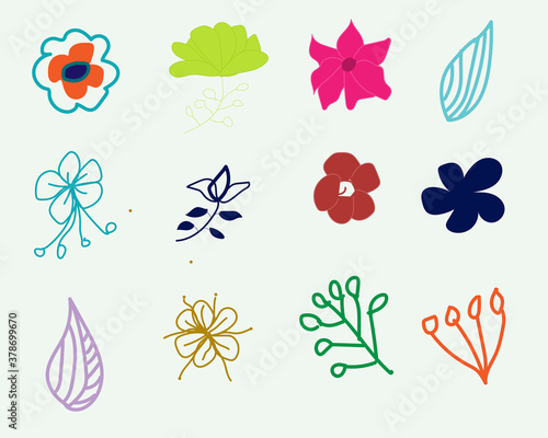  Floral vector art.flower vector illustration .