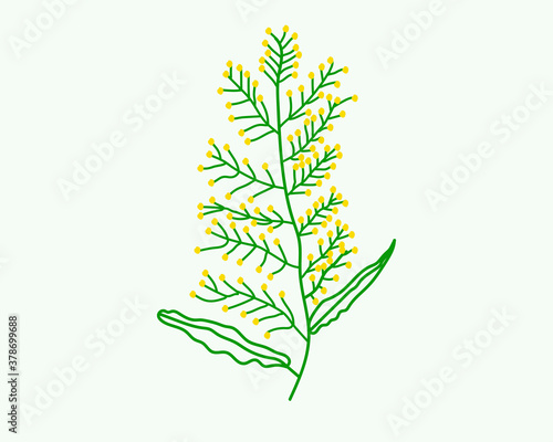 Floral vector illustration