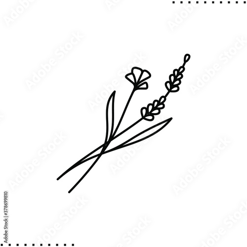 wildflowers and lavender twig vector icon in outline