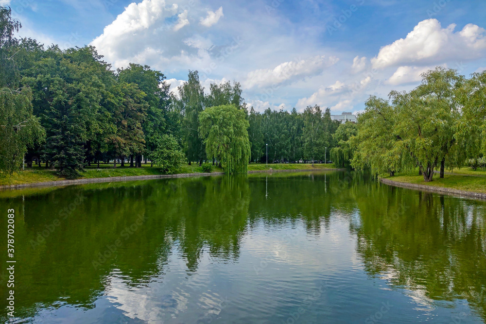 Beautiful green trees near the river in the park.