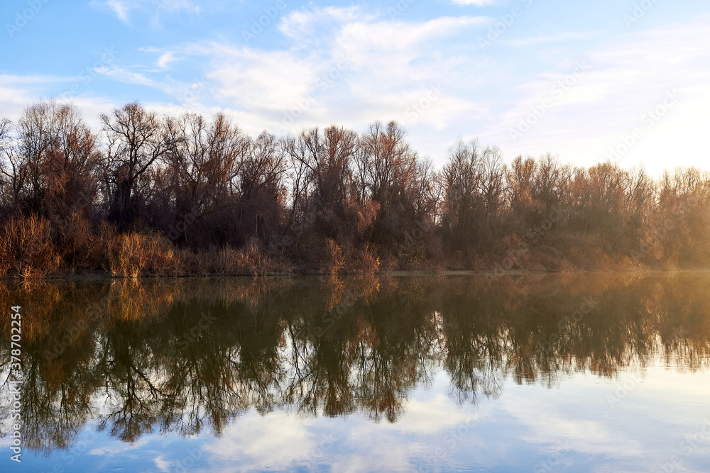 Obraz premium Autumn trees without leaves and yellow reeds on the river bank. Trees, reeds and a blue sky with clouds are reflected in the river