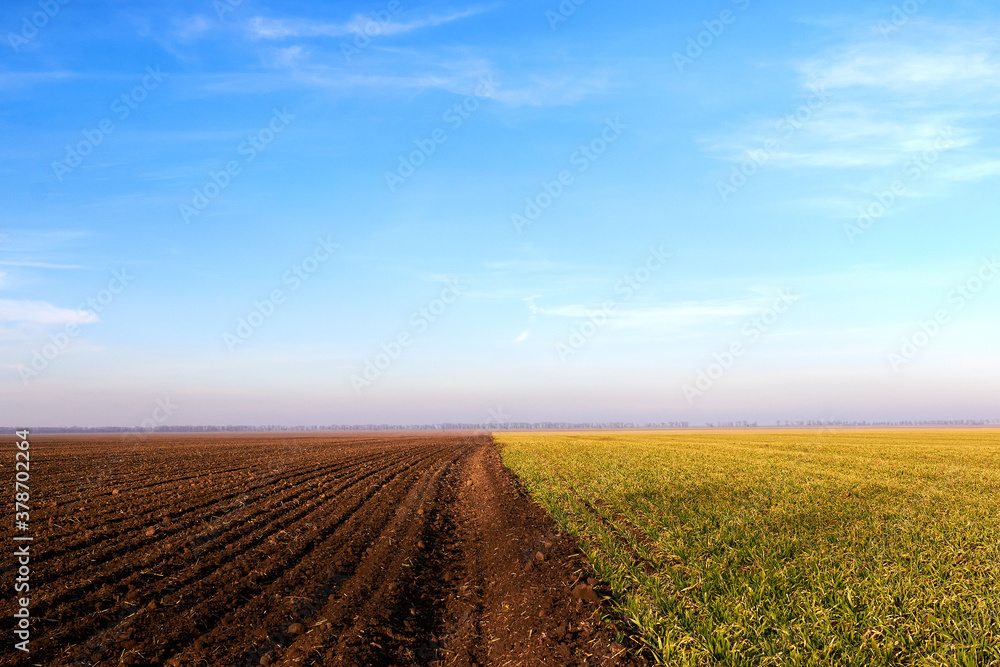 Furrows row pattern in a plowed field prepared for planting crops. Growing wheat crop in springtime. Horizontal view in perspective with cloud and blue sky background. Furrows row pattern in a plowed field prepared for planting crops. Growing wheat crop in springtime. Horizontal view in perspective with cloud and blue sky background.