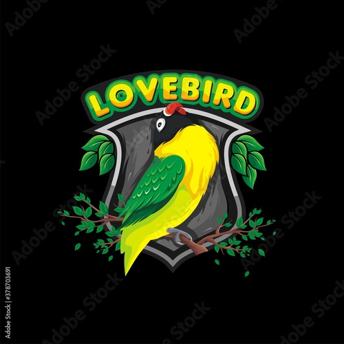 Lovebird illustration design vector