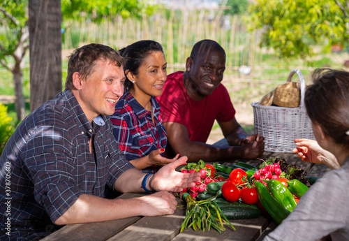 People gardeners chatting at table with harvest after harvesting at farmland © JackF