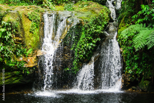 Amazon Rainforest  Madre de Dios River in Peru.