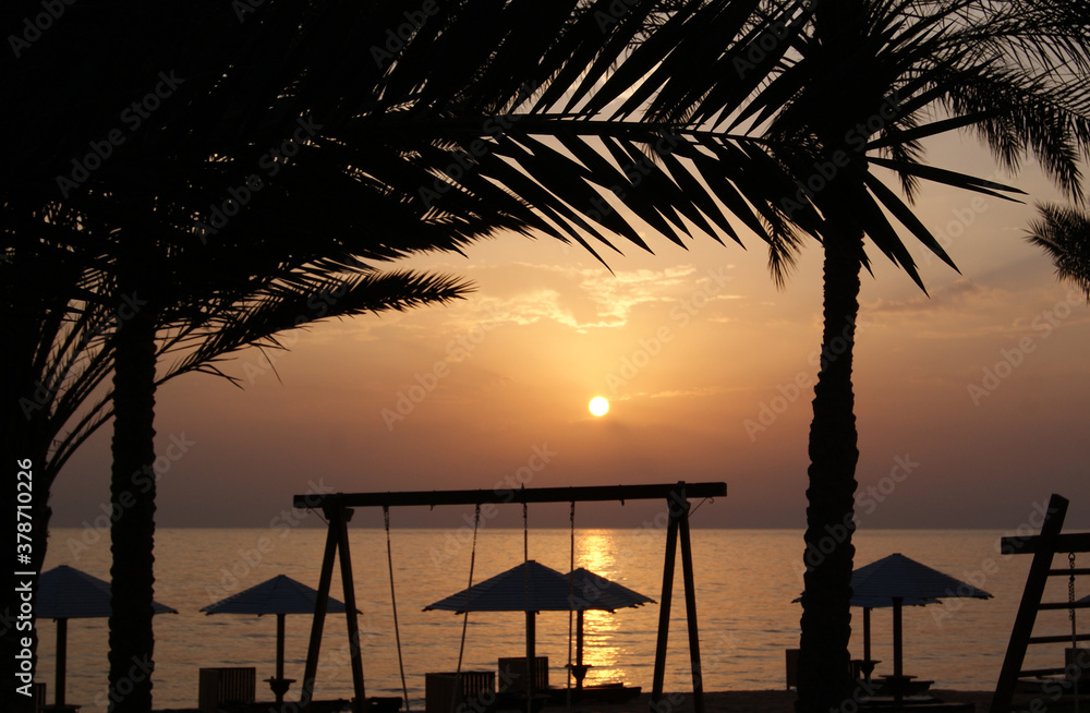 Dawn over the sea. Dark silhouettes of palm leaves and wooden beach swings and umbrellas against the background of the sun rising above the sea.