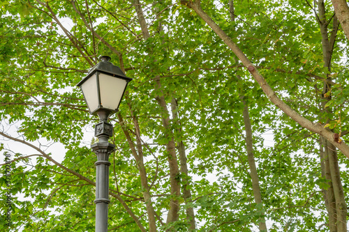 Vintage black iron lantern in a public park