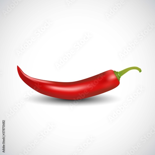 fresh red chilly isolated white background. vector illustration 