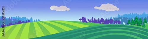 Striped green meadows. Natural summer landscape with farm fields and forest on horizon rural harvest season pure organic farming blooming land with abundant vector crop.