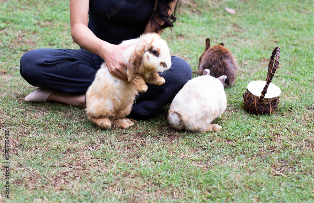 A woman holding a brown rabbit in the garden
